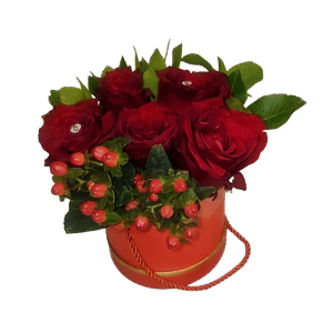 κόκκινο κυλινδρικο κουτι 13*13 με 5 κόκκινα τριαντάφυλλα Εκουαδόρ, ιπερικουμ και κουμαρο 25.00 ευρω