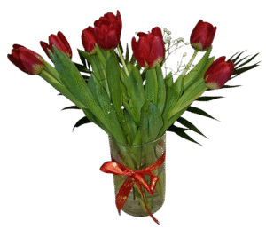 10 τουλίπες με βάζο & γυψοφυλο 40.00 ευρω