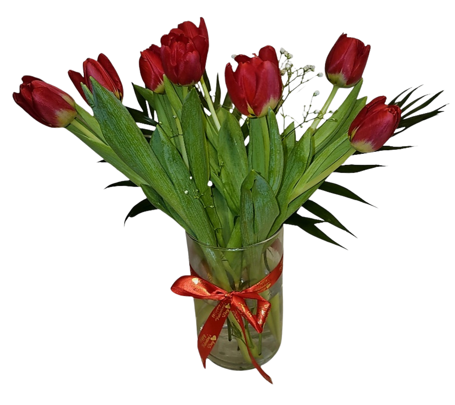 10 τουλίπες με βάζο & γυψοφυλο 40.00 ευρω