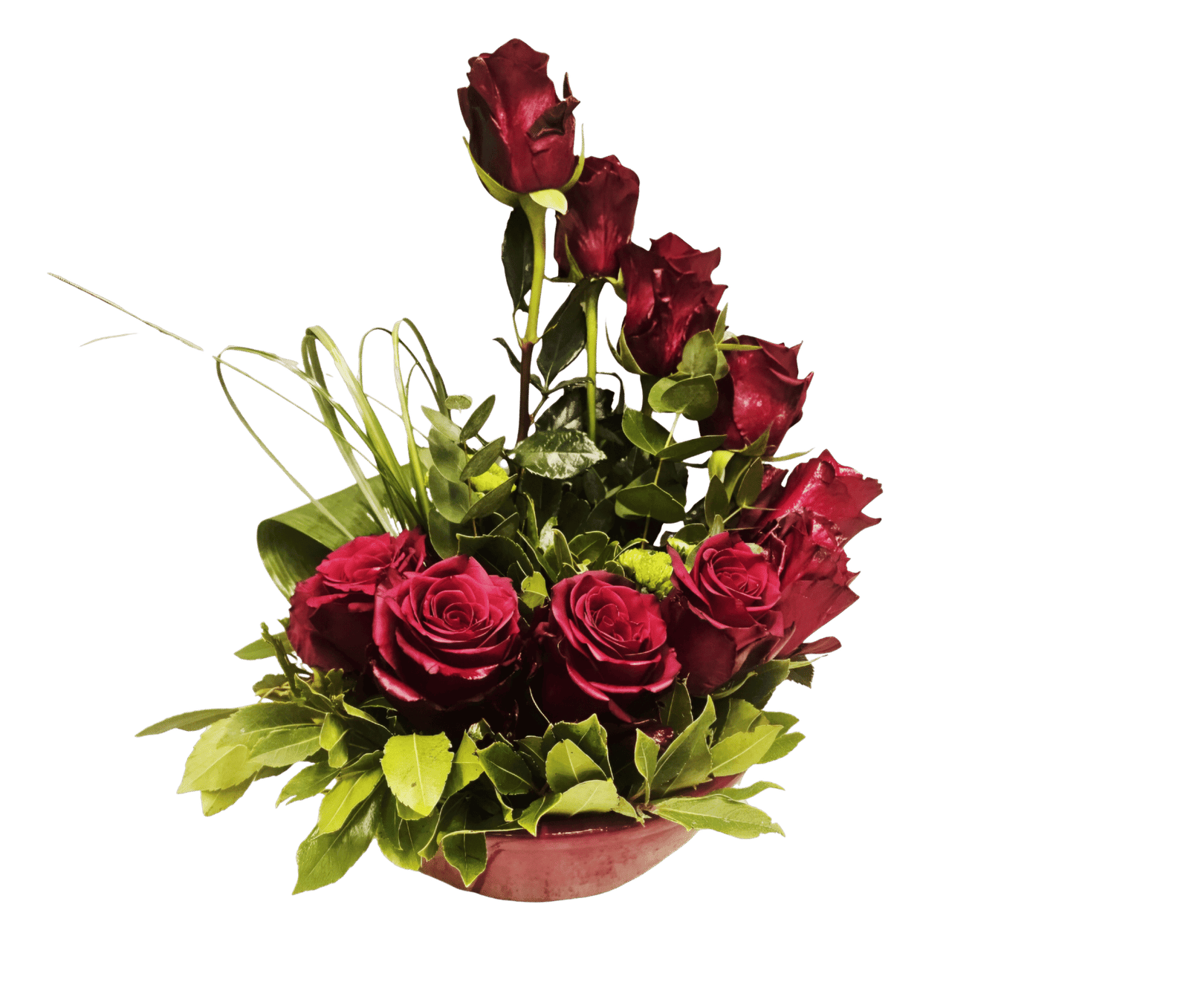 Luxury σύνθεση με 10 κόκκινα τριαντάφυλλα Εκουαδόρ explorer & πρασινάδα εισαγωγής 65.00 το κασπω μπορεί να ειναι κόκκινο, Λευκό ή γκρι σκουρο/μαυρο