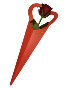 Χάρτινο κουτί καρδιά με 1 κόκκινο τριανταφυλλο εκουαδόρ explorer  70cm