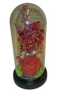 Γυαλα 25cm με κόκκινο for ever τροανταφυλλο, αποχυμωμενα φυτα και φως led